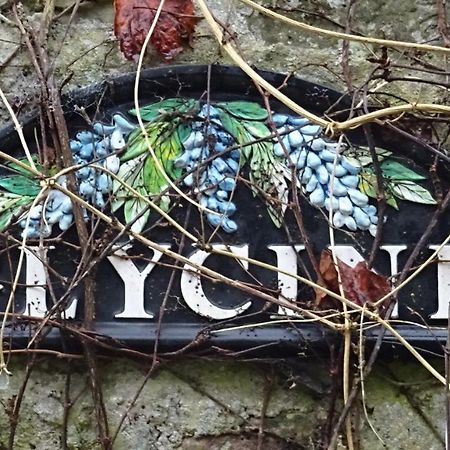 瑞维尼苏桑代纳Le Glycine A Manoir Sainte Cecile公寓 外观 照片