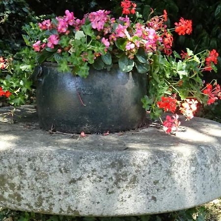 瑞维尼苏桑代纳Le Glycine A Manoir Sainte Cecile公寓 外观 照片