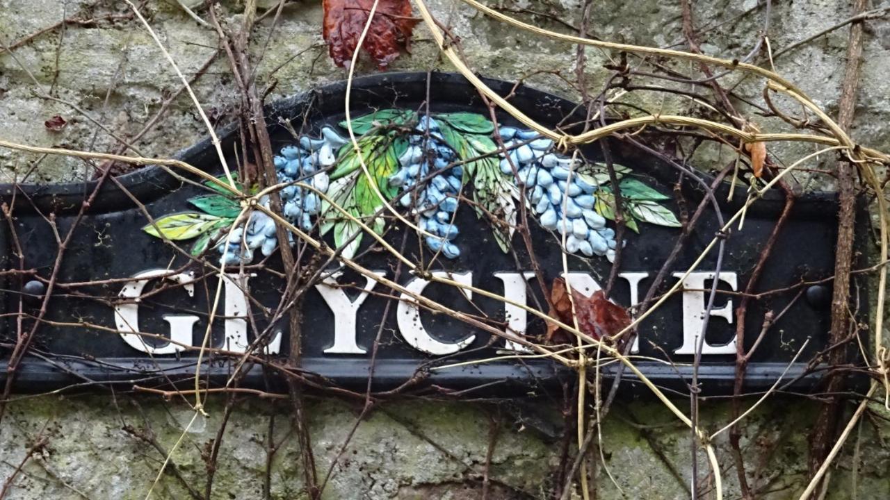 瑞维尼苏桑代纳Le Glycine A Manoir Sainte Cecile公寓 外观 照片