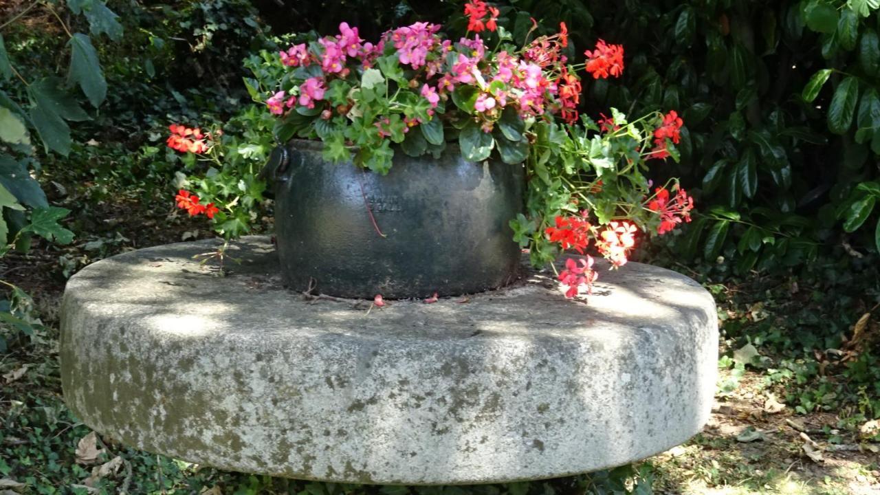 瑞维尼苏桑代纳Le Glycine A Manoir Sainte Cecile公寓 外观 照片